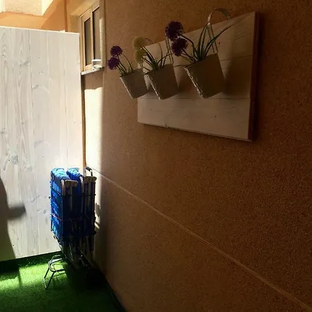 Apartament Xavi *